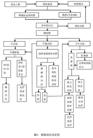 胰腺癌2014胰腺癌诊治指南